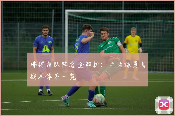 佛得角队阵容全解析：主力球员与战术体系一览