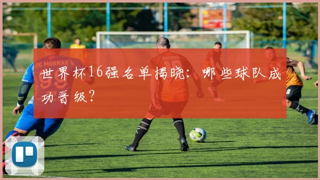 世界杯16强名单揭晓：哪些球队成功晋级？