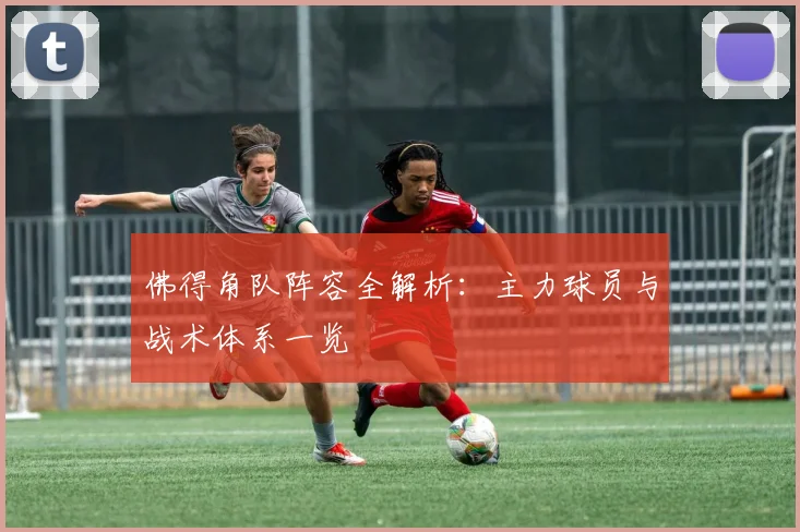 佛得角队阵容全解析：主力球员与战术体系一览